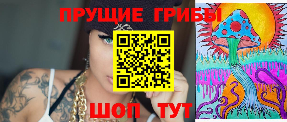 наркота  Псилоцибиновые грибы прущие грибы  Вход с VPN  Псилоцибиновые грибы MAGIC MUSHROOMS  Борзя 